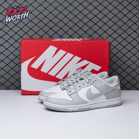 NIKE Dunk Low Retro Grey Fog DD1391-103 :