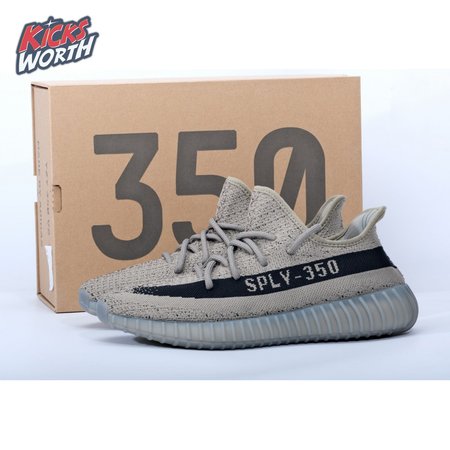 Adidas Yeezy 350v2 Reverse Oreo