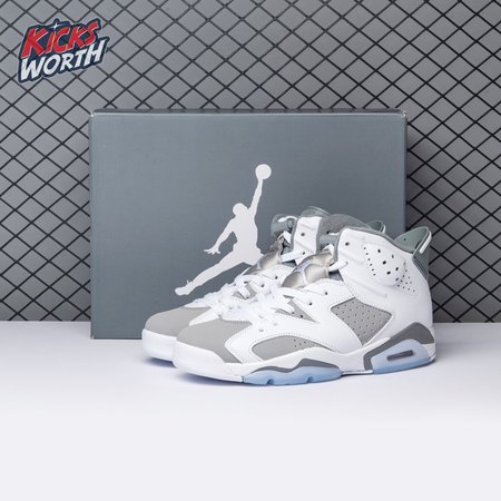 Air Jordan 6 Cool Grey CT8529-100